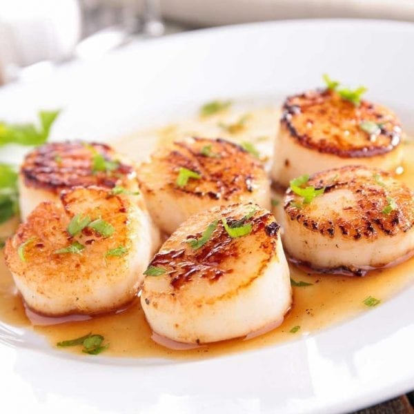 Scallops, Fish and More